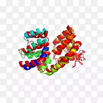 ʥ��װ������-ʥ����-������