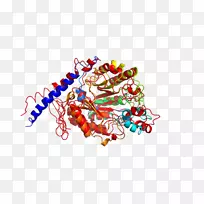 ͼ������������-������