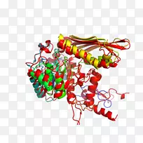 ʥ��װ�μ�����-ʥ����-������