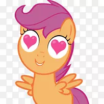 �ȸ����İ�������-�����ۼ�����-������