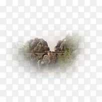 桌面壁纸摄影计算机树-计算机-空若网 桌面壁纸摄影计算机树-计算机-空若网