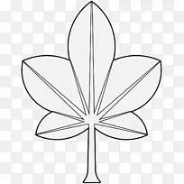 花瓣线艺术叶对称剪贴画-空若网 花瓣线艺术叶对称剪贴画-空若网