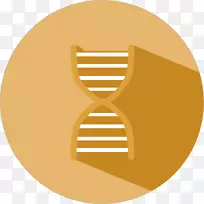 材料线字体线-空若网 材料线字体线-空若网