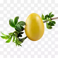 桌面壁纸1080 p电脑显示器台式电脑宽屏-复活节-空若网 桌面壁纸1080 p电脑显示器台式电脑宽屏-复活节-空若网