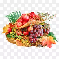 食品脱水机素食菜苹果水果-苹果-空若网 食品脱水机素食菜苹果水果-苹果-空若网