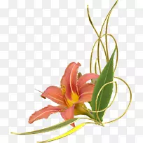 百合切花剪贴艺术-花卉-空若网 百合切花剪贴艺术-花卉-空若网