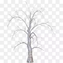 树枝剪贴画-树-空若网 树枝剪贴画-树-空若网
