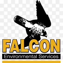 猎鹰鸟自然环境翅膀环保-猎鹰-空若网 猎鹰鸟自然环境翅膀环保-猎鹰-空若网