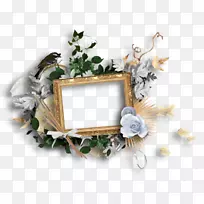 �����ռ�����������Ӱ-������