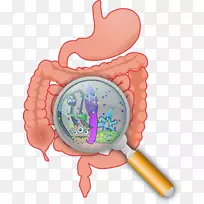 胃肠道健康消化益生菌群菌群-空若网 胃肠道健康消化益生菌群菌群-空若网