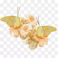 ��������-����-������