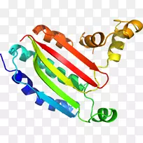人体珠宝线剪贴画线-空若网 人体珠宝线剪贴画线-空若网