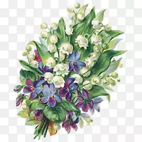 火星冒险脱钩动画观赏植物-动画-空若网 火星冒险脱钩动画观赏植物-动画-空若网