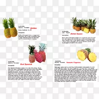 ������ʳ������ݮʳƷ��˹��ˣ�wstg-����-������