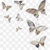 蝴蝶蛾昆虫剪贴画-蝴蝶-空若网 蝴蝶蛾昆虫剪贴画-蝴蝶-空若网