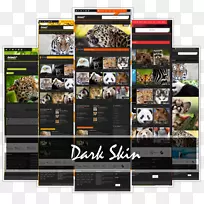 չʾ���Ʒ�ƶ�ý��-������