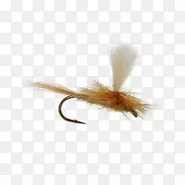 昆虫人工蝇-空若网 昆虫人工蝇-空若网