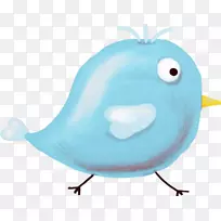 喙鸟海洋光栅图形剪辑艺术-空若网 喙鸟海洋光栅图形剪辑艺术-空若网