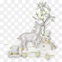 Ê¥µ®½Ú-¿ÕÈôÍø Ê¥µ®½Ú-¿ÕÈôÍø