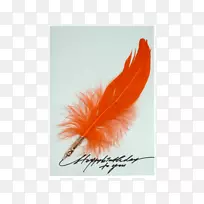 ��ë-��ë-������