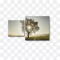 �����������-������