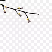 线线-空若网 线线-空若网