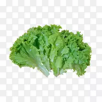 ¿ÈöÉ«ÀÒ¶²ËÉú²Ë-Êß²Ë-¿ÕÈôÍø ¿ÈöÉ«ÀÒ¶²ËÉú²Ë-Êß²Ë-¿ÕÈôÍø