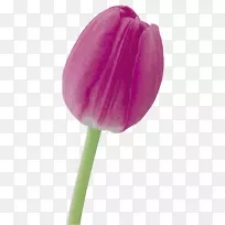 �������л�������������-������