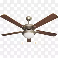 ���ȵ�-������