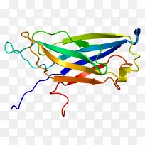 �ߵ������������-������