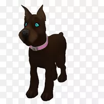 狗繁殖小狗带鼻子-小狗-空若网 狗繁殖小狗带鼻子-小狗-空若网