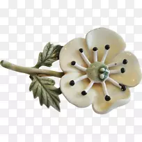 实体珠宝水果-空若网 实体珠宝水果-空若网