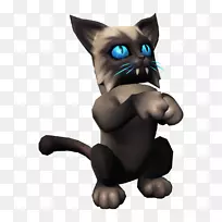 胡须小猫黑猫鼻子小猫-空若网 胡须小猫黑猫鼻子小猫-空若网