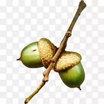 ���ӿ�ͨƬ����-������