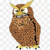 猫头鹰秃鹰剪贴画-肥孔雀剪贴画-空若网 猫头鹰秃鹰剪贴画-肥孔雀剪贴画-空若网