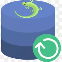 WISE���ݻָ������ͼ�������޸���ʦ�����������-������