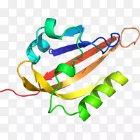 服装配饰线时尚剪贴画线-空若网 服装配饰线时尚剪贴画线-空若网