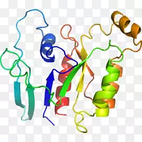 人体行为线有机体点剪贴画线-空若网 人体行为线有机体点剪贴画线-空若网