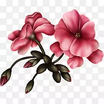 花卉花束动画花卉设计-花卉-空若网 花卉花束动画花卉设计-花卉-空若网