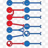 t恤-神经元神经科学脑-t恤-空若网 t恤-神经元神经科学脑-t恤-空若网