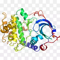人体首饰有机体线剪贴画线-空若网 人体首饰有机体线剪贴画线-空若网