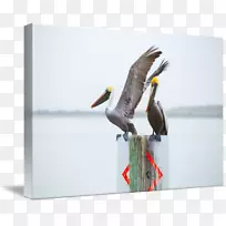 ๺£Äñ-Éè¼Æ-¿ÕÈôÍø ๺£Äñ-Éè¼Æ-¿ÕÈôÍø