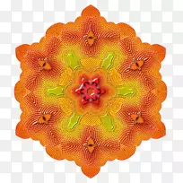 ��ѧ��ѧȦ-��ѧ-������