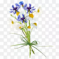 花束剪贴画-花-空若网 花束剪贴画-花-空若网