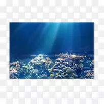 4k分辨率led背光lcd超高清晰度电视智能电视-空若网 4k分辨率led背光lcd超高清晰度电视智能电视-空若网