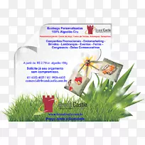 ²ÝÊ÷¿Æ-¿ÕÈôÍø ²ÝÊ÷¿Æ-¿ÕÈôÍø