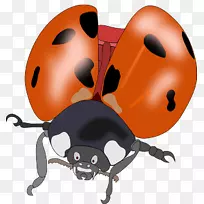 ư³æ±¼ÐÒÕÊõ-¼×³æ-¿ÕÈôÍø ư³æ±¼ÐÒÕÊõ-¼×³æ-¿ÕÈôÍø