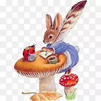 校报课堂动画-学校-空若网 校报课堂动画-学校-空若网