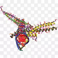 车身珠宝线字体线-空若网 车身珠宝线字体线-空若网