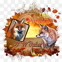 ���Ұ�����︣��˹����-����-������